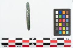 Foto von Bronzering (NHMW-PRAE-025991)